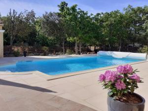 Sejours chez l'habitant Authentique mas avec piscine en Provence : photos des chambres