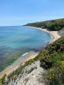 Byala COZY APARTMENT