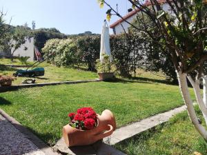 Villino Veronica N 25