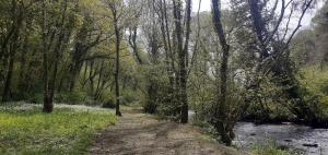 Tentes de luxe Retraite rustique en bordure de foret a la campagne : photos des chambres