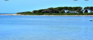 STANZA UNO G. G CONTE