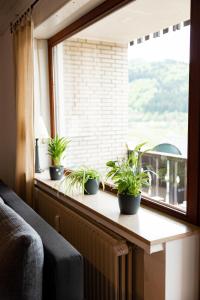 Ferienwohnung mit Seeblick — Sport und Erholung