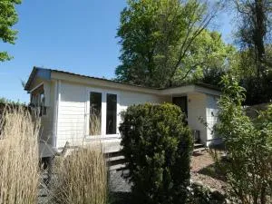Chalet nr 8 op Bospark Trimunt - De Wilp