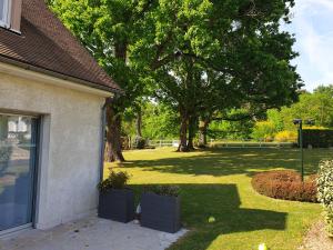 Maisons de vacances LES DRYADES MILLY : photos des chambres