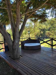 Yurt Tree, romântico e confortável, experiência unica