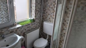 Lexington Apartments