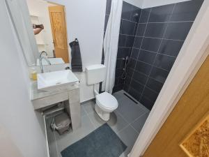 Budget Apartment LeLo Centar2