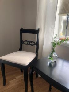 Ångbåten - New buildt apartment in the center of Gränna