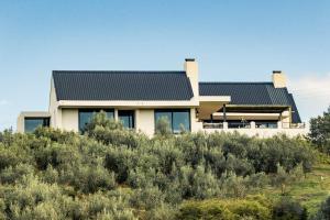 Oudewerfskloof Olive Farm