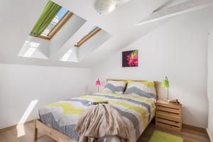 Apartment Palach