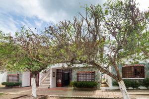 Hermosa Cabana con Piscina 3 Habitaciones MC21