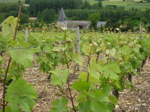 Maisons de vacances Gite Domaine Dutertre : photos des chambres