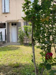 Appartements Les Palmiers : Appartement - Rez-de-Chaussée