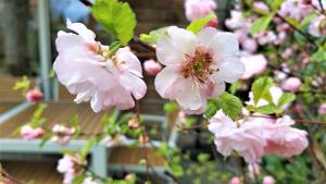 fewos am kleinen meer