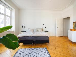 Spacious apartment in the heart of Copenhagen