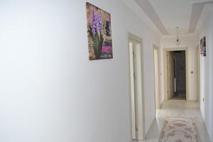 Shahin Golden Hotel الصقر الذهبي للشقق الفندقية