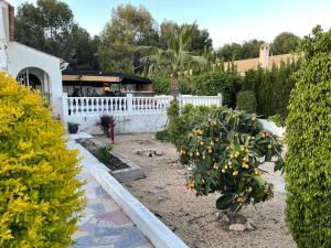 Villa la Vida