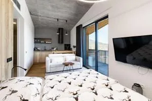 Apartmán v Tee house Čeladná - 昆塞斯波德安德莱基尼科姆