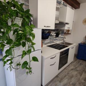 Maison Exotique - Riomaggiore Cinque Terre Beach Travel