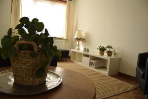 Vakantiewoning Wurfeldermolen