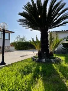 Villa Daniele - Borgo Vodice