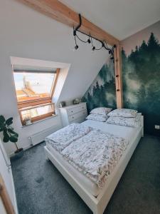Apartament Kameralna