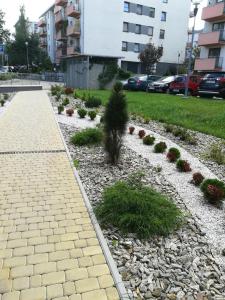 Apartament Włoska 4
