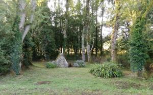 Sejours chez l'habitant COMME A LA MAISON - au centre de Lorient, Vannes, Carnac : photos des chambres