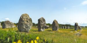 Maisons de vacances Aux portes des alignements de Carnac : photos des chambres