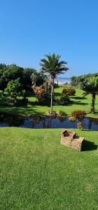 8 Oceans on the Beach