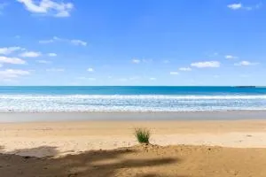 Beachside Villa - Beech Forest