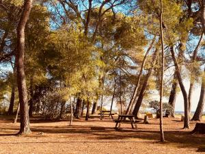 Maisons de vacances Les gites de Pailhes : photos des chambres