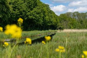 EuroParcs Het Amsterdamse Bos