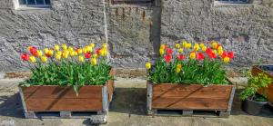 Apartment in Herrenhaus Groß Pinnow