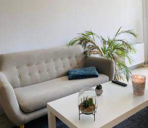 Appartements KASA VOYTIER Parking prive & Wifi - Balcon & Ascenseur : Studio Standard