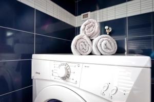 Villa Baraka with private pool near Rovinj - WiiBuk