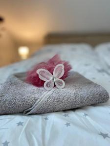 Apartmán Zelený dom 43