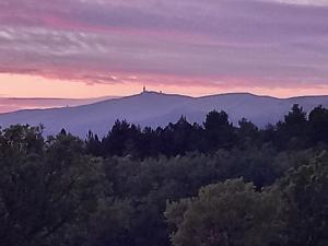 Maisons d'hotes A Ventoux Yourte : photos des chambres