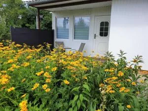 Hafenquartier Senftenberg - Sedlitz