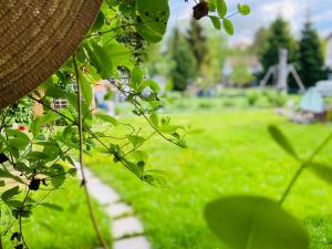 Apartment Emil im EG mit Garten in Suhl