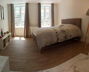 Appartements Triplex de luxe 110 m2 hyper centre jacuzzi : photos des chambres