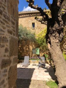 Maisons de vacances Le Patio du Murier : photos des chambres