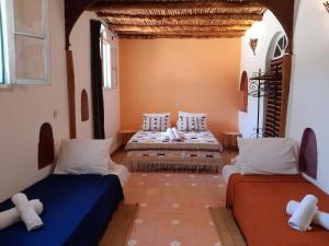 Riad Douar Des Oliviers