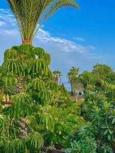 The Mediterranean Sea at your doorstep!! - Meneou