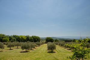 Maisons de vacances Bastide Toujours Dimanche, Maison de vacances avec vue & piscine privee : photos des chambres