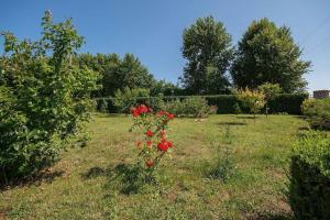 Apartment Radeki Glavica 112b