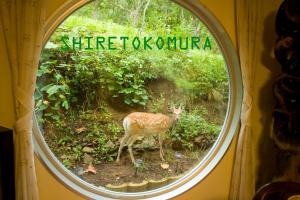 SHIRETOKO Kokun Kekun