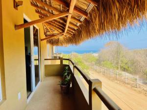 Bonobo Living Apartments