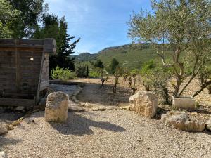 Appartements Le Carignan : photos des chambres