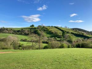 The Snug at Coed Y Gaer